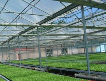 Six factors of influencing the spacing of greenhouse