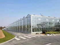 What factors would endanger the multi-span greenhouse in summer?