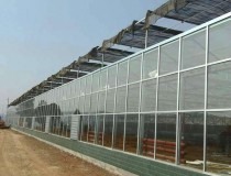 Features of solar panel greenhouse