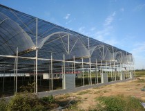 Six factors of influencing the spacing of greenhouse