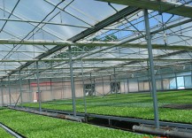 Six factors of influencing the spacing of greenhouse