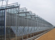 The precautions of film replacement for greenhouse