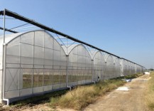 How to maintain the thin film of greenhouse