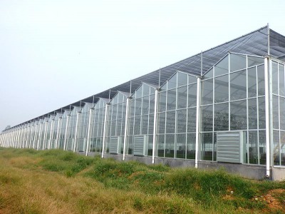 Glass greenhouse