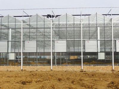 Glass greenhouse