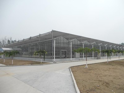 Glass greenhouse