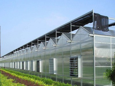 Glass greenhouse