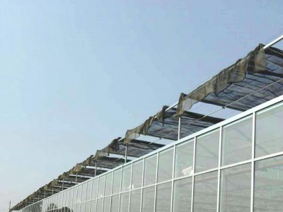 Glass greenhouse