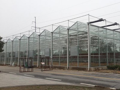 Glass greenhouse