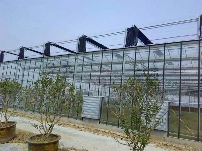 Glass greenhouse