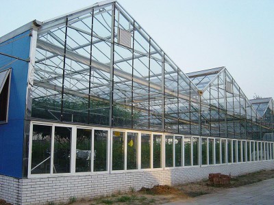 Glass greenhouse