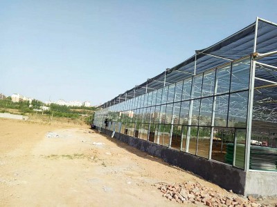 Glass greenhouse