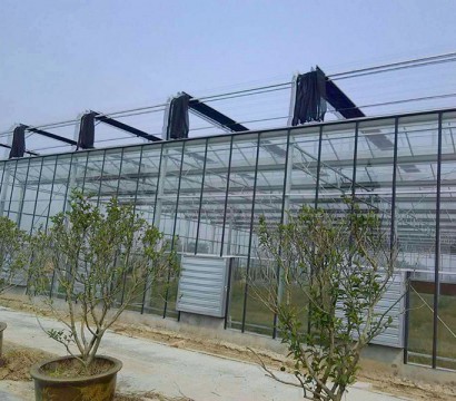 Texture greenhouse