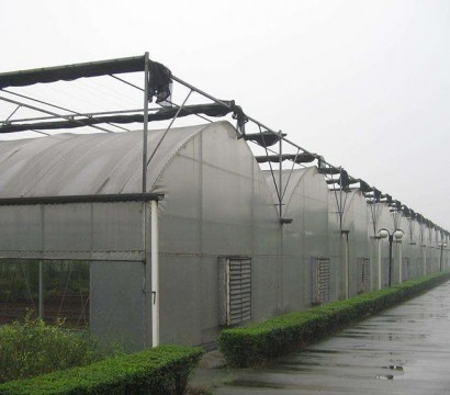 Multi-span greenhouse