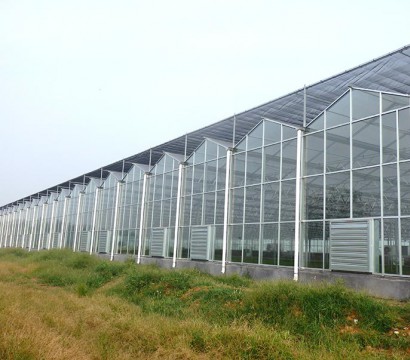 Glass greenhouse