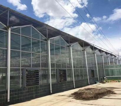 Texture greenhouse