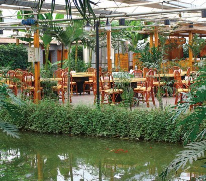 Ecological restaurant