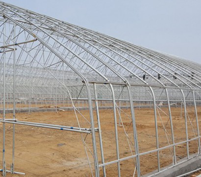 Sunlight greenhouse