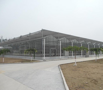 Glass greenhouse