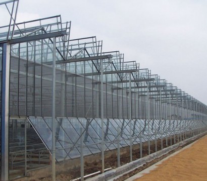 Texture greenhouse