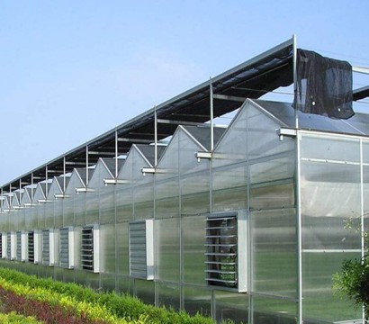 Glass greenhouse