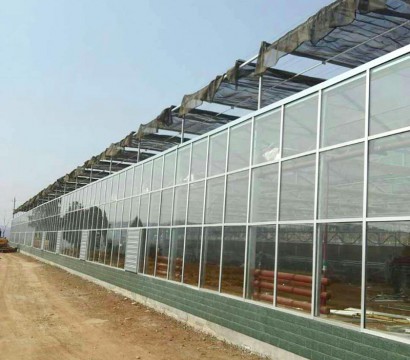 Glass greenhouse