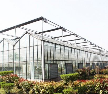 Glass greenhouse