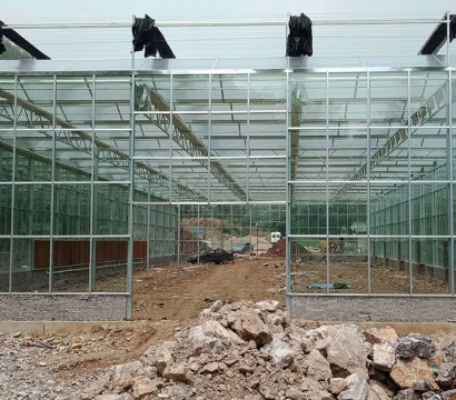 Glass greenhouse