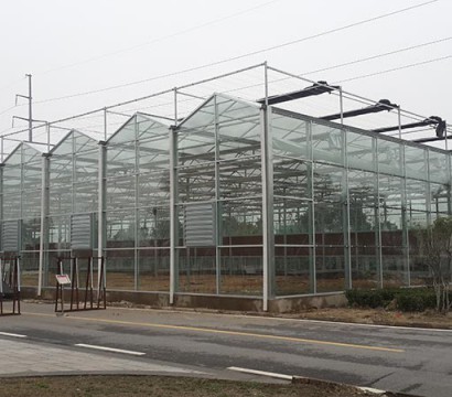 Glass greenhouse