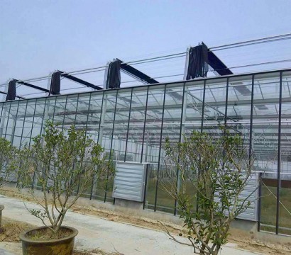 Glass greenhouse