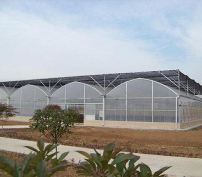 Multi-span greenhouse