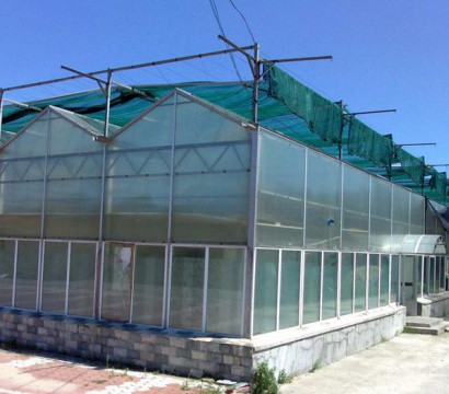 Solar panel greenhouse