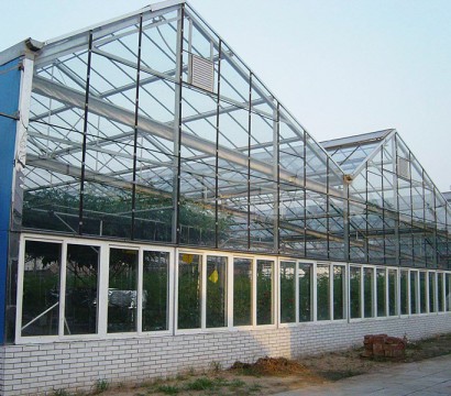 Glass greenhouse