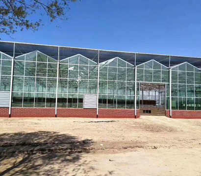 Glass greenhouse