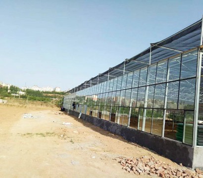 Glass greenhouse