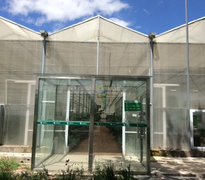 Solar panel greenhouse