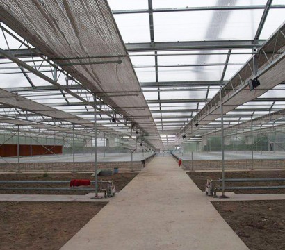 Glass greenhouse