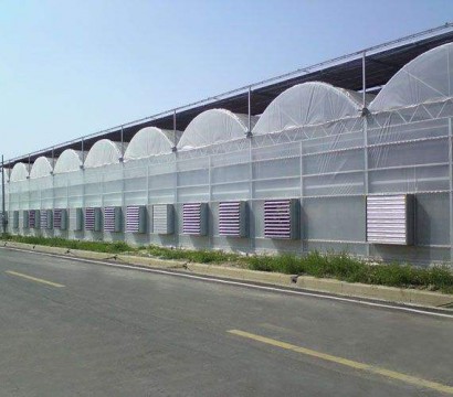 Multi-span greenhouse