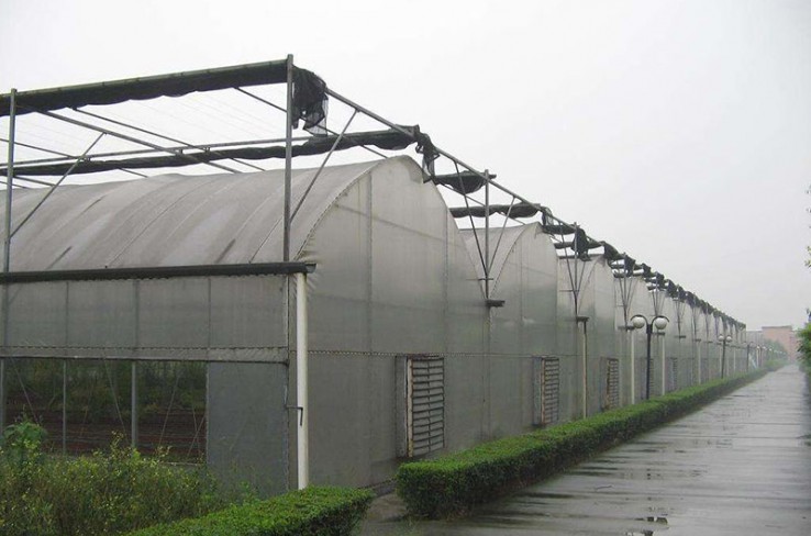 Multi-span greenhouse