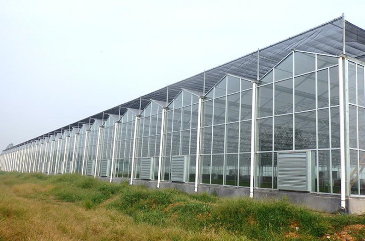 Glass greenhouse