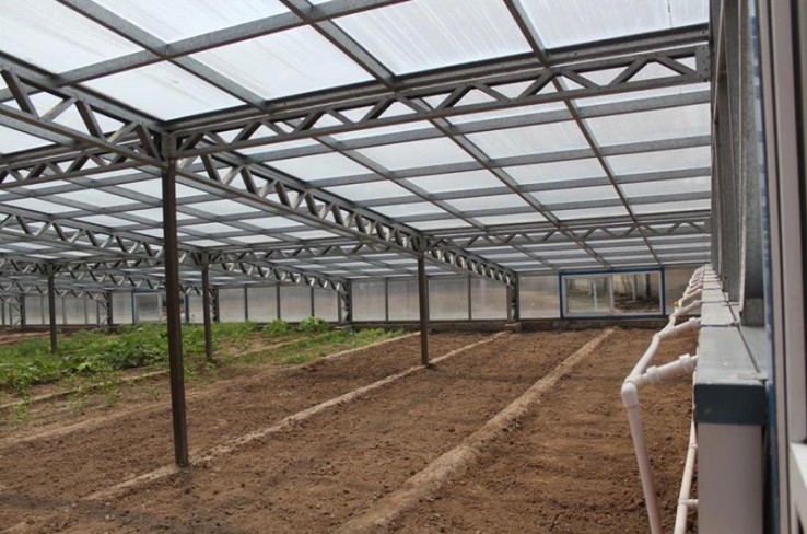 Solar panel greenhouse