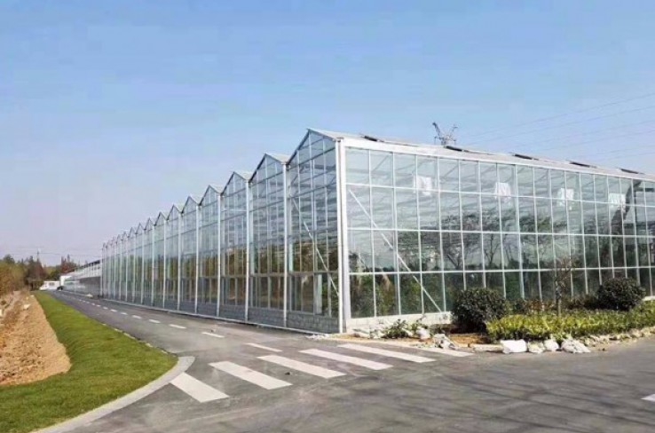 Texture greenhouse