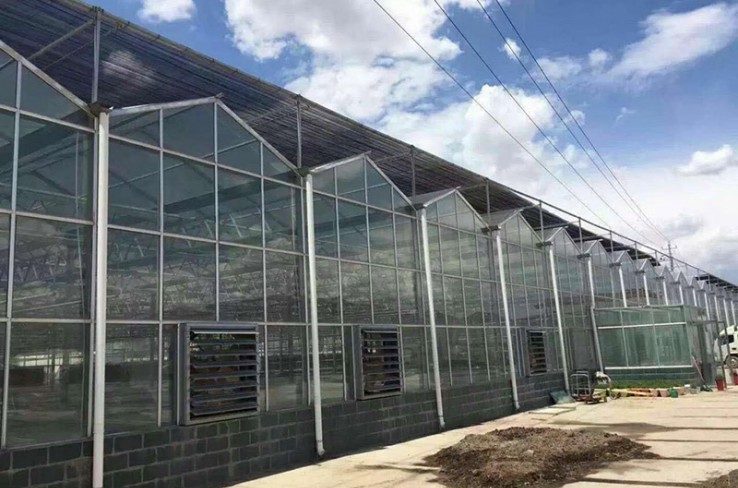 Texture greenhouse