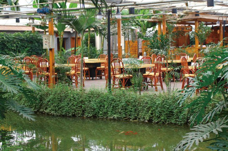 Ecological restaurant