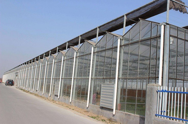 Texture greenhouse