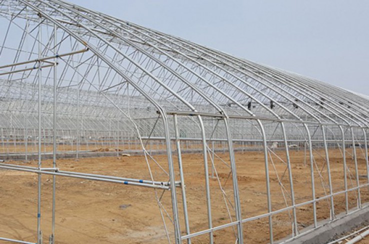 Sunlight greenhouse