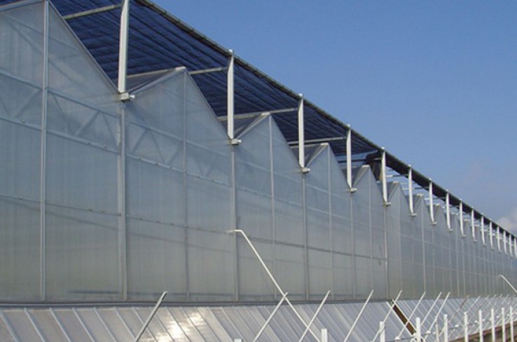 Solar panel greenhouse