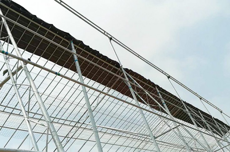 Greenhouse framework