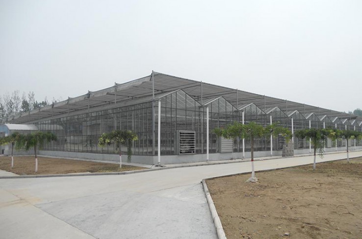 Glass greenhouse