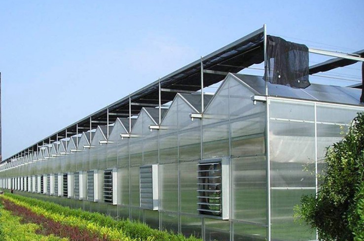 Glass greenhouse